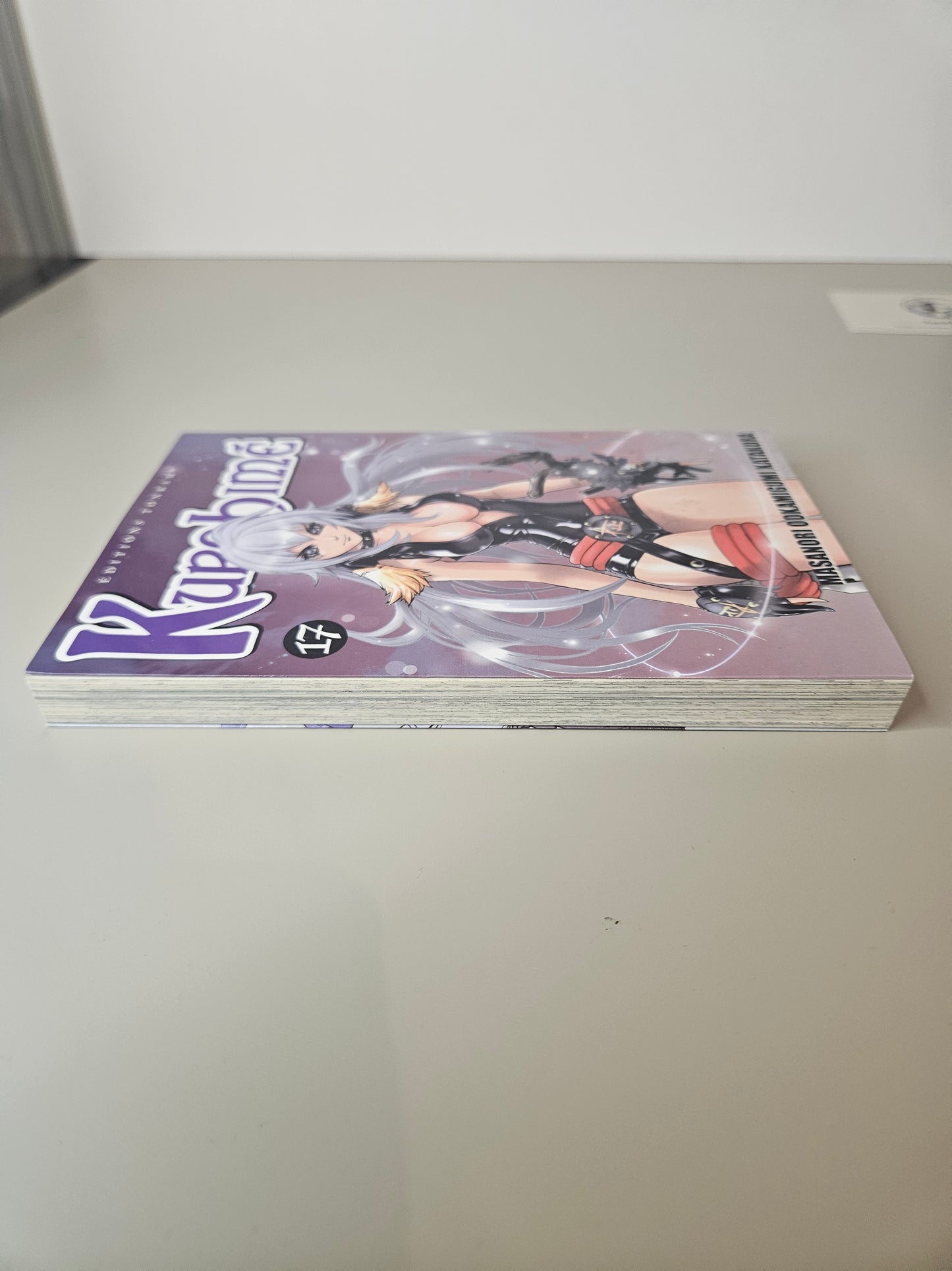 Kurohimé Tome 17 - Editions Tonkam