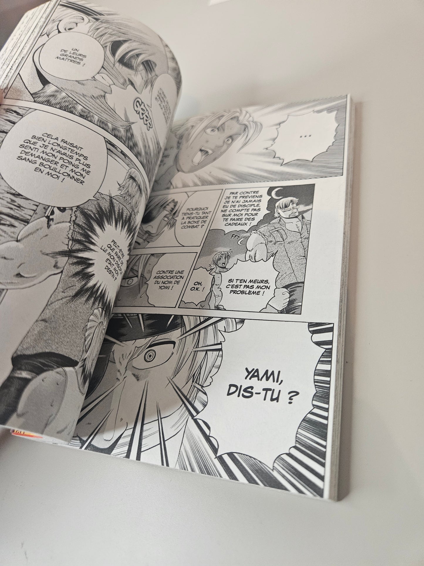 Tome 20 Ken Ichi Le Disciple Ultime version FR