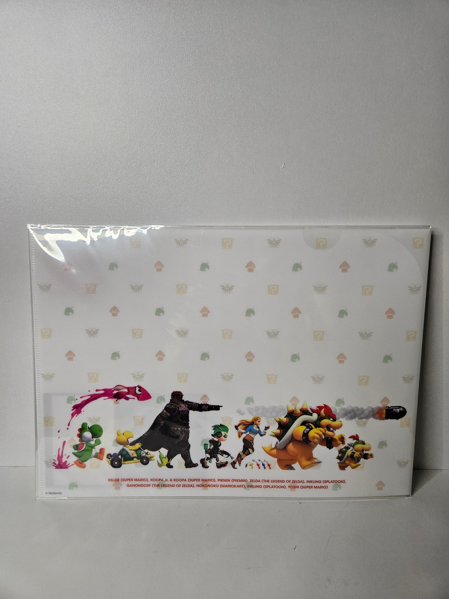 Clear File Nintendo Store