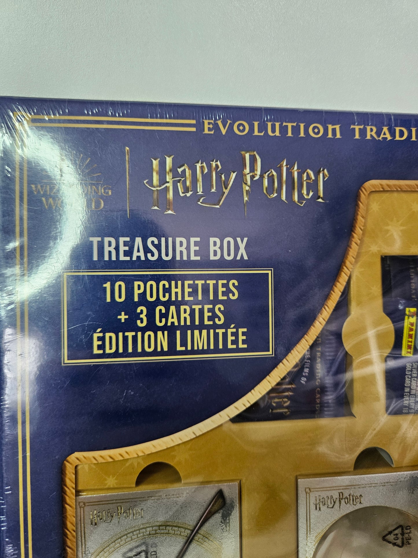 Pack Panini Harry Potter