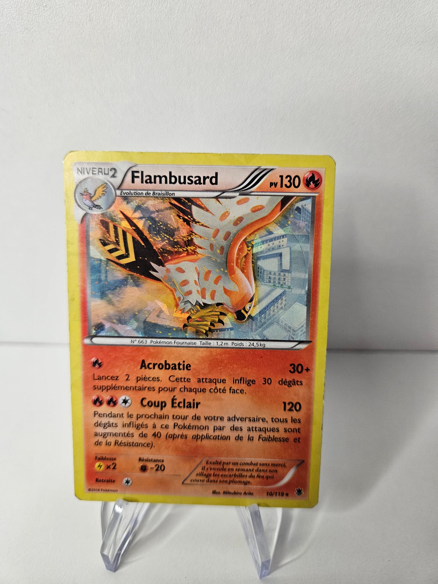 Flambusard Holo