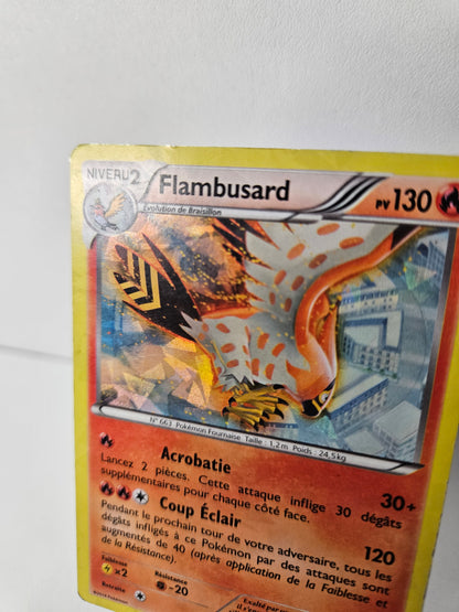 Flambusard Holo