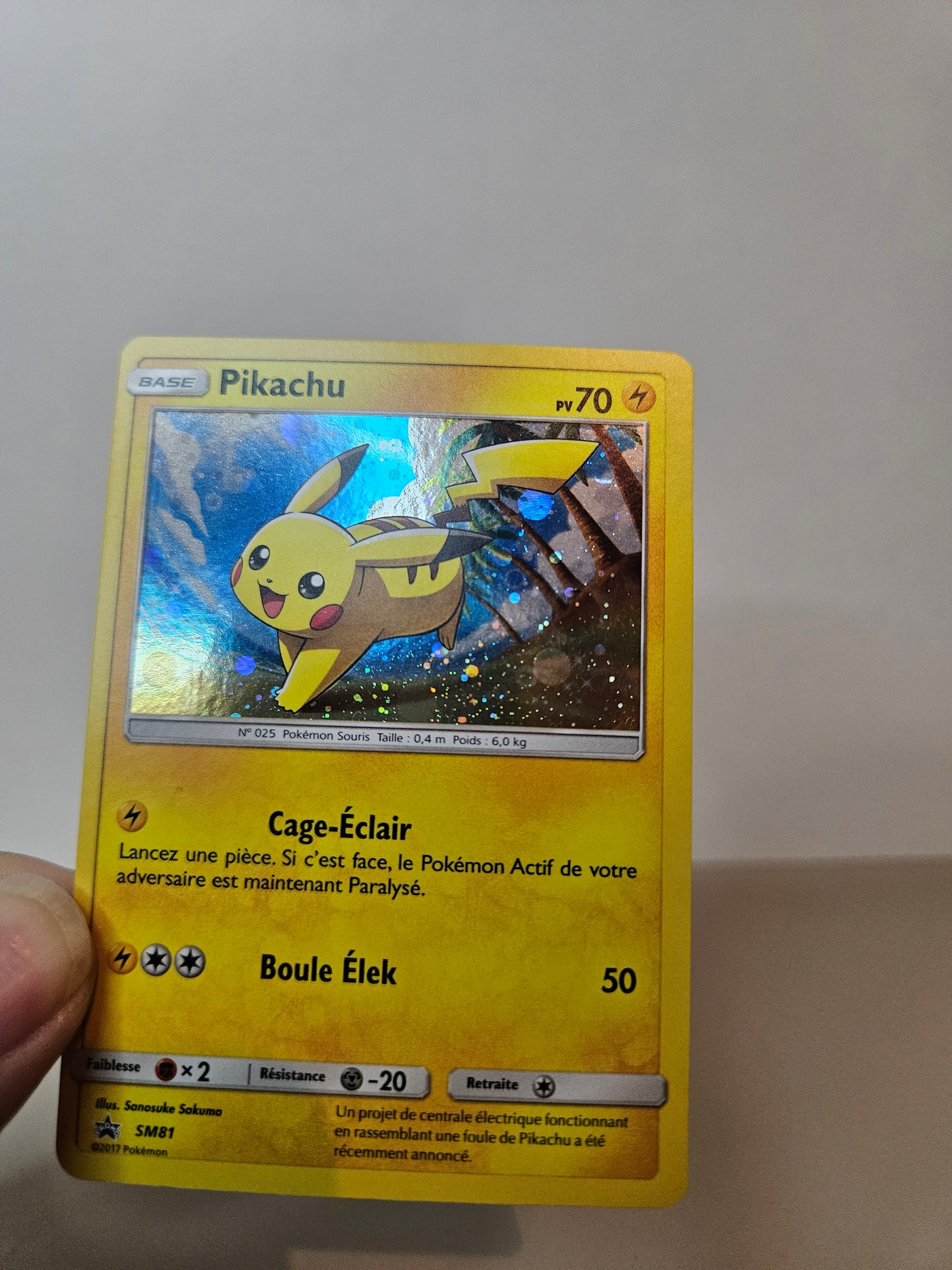 Pikachu Holo SM81