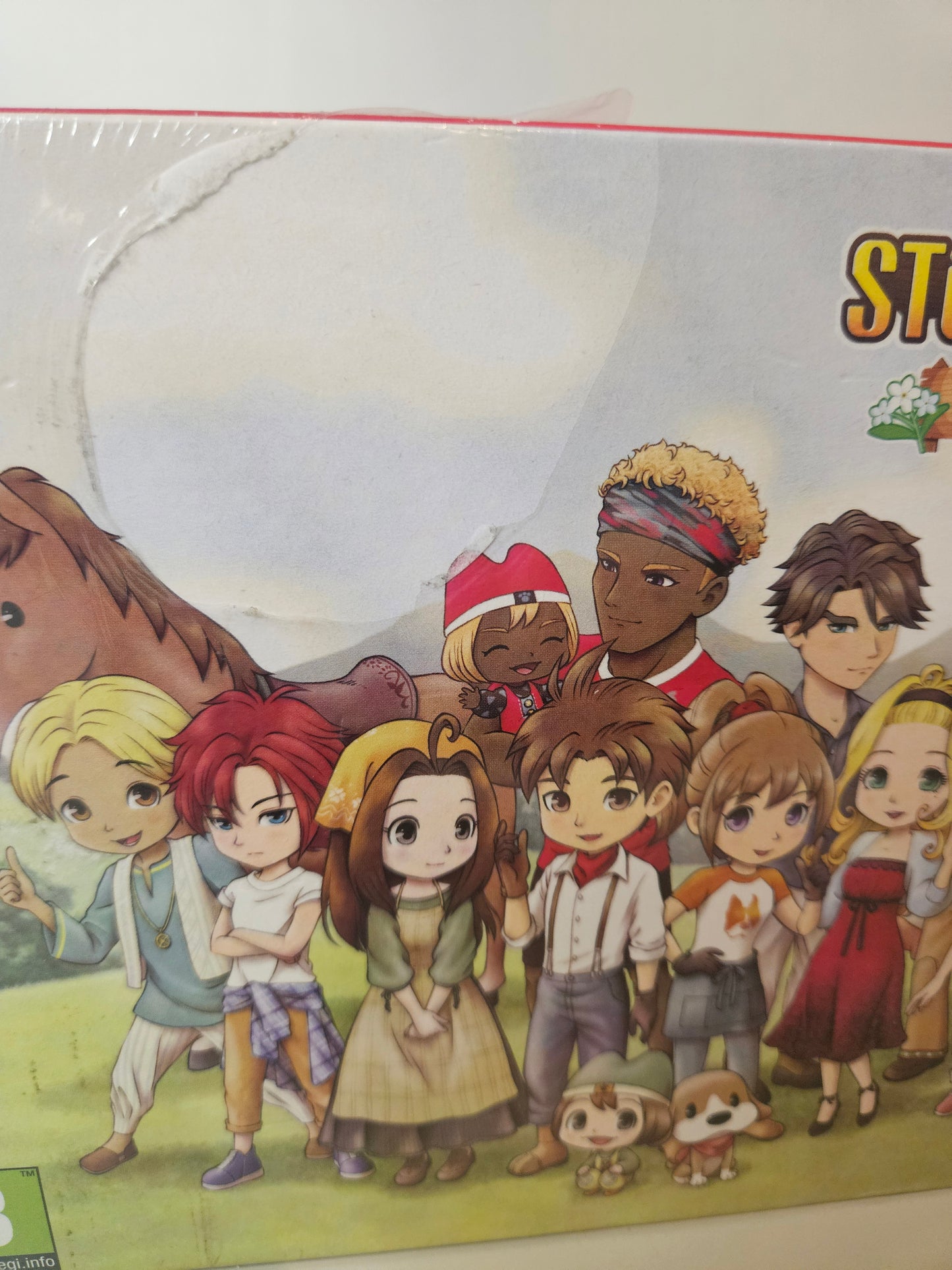 Nintendo - Collector Story of season