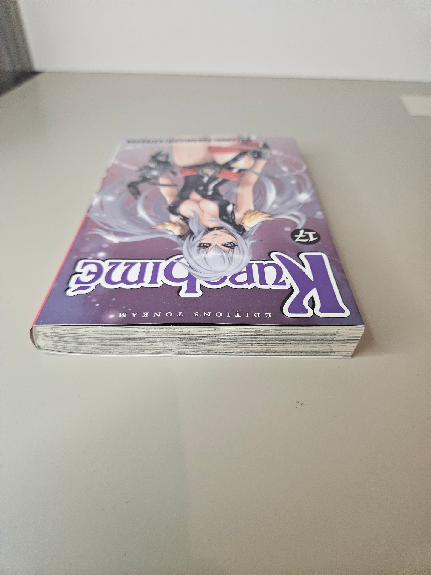 Kurohimé Tome 17 - Editions Tonkam