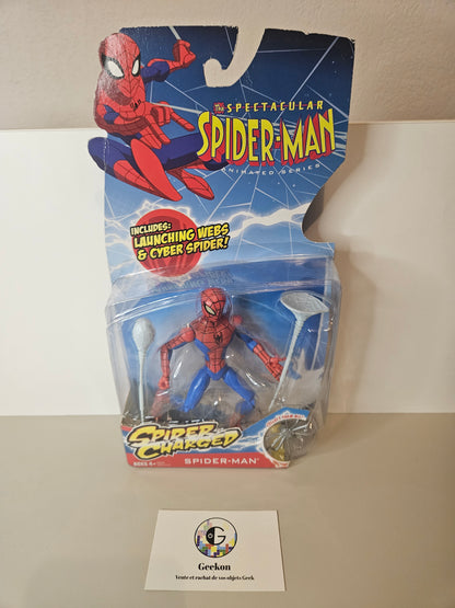 The Spectacular Spider-man Animated Series Hasbro 2007