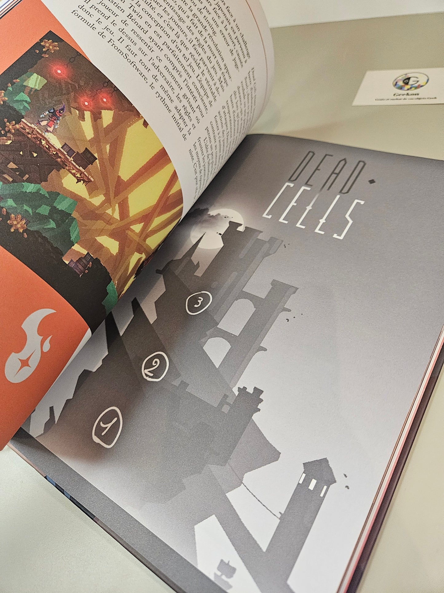 The Heart of Dead Cells: A Visual Making-Of Art Book Game Guide Indie Video Game
