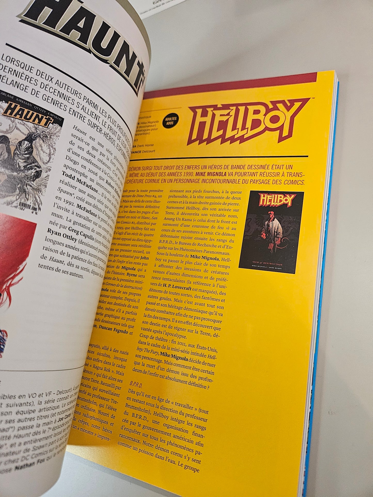 Livre Comics Les indispensables de la bd américaine