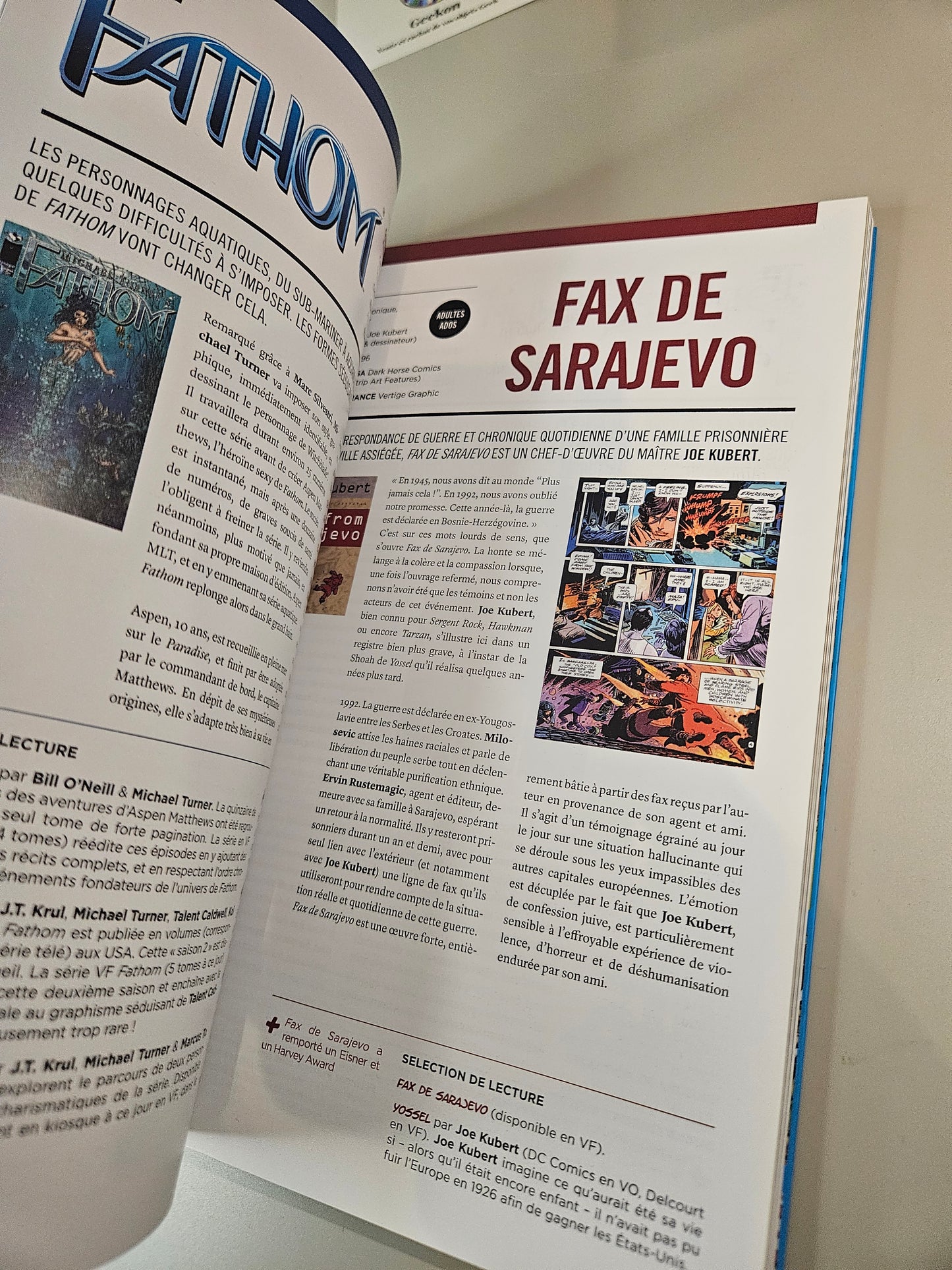 Livre Comics Les indispensables de la bd américaine