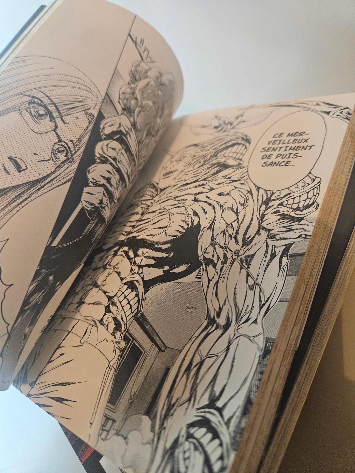 Intégral Manga Tokko