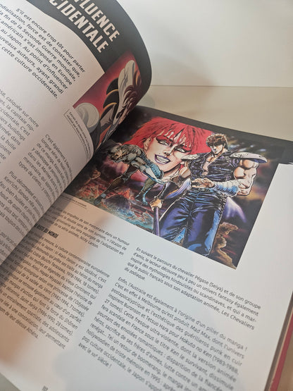 Livre Manga que d'histoire