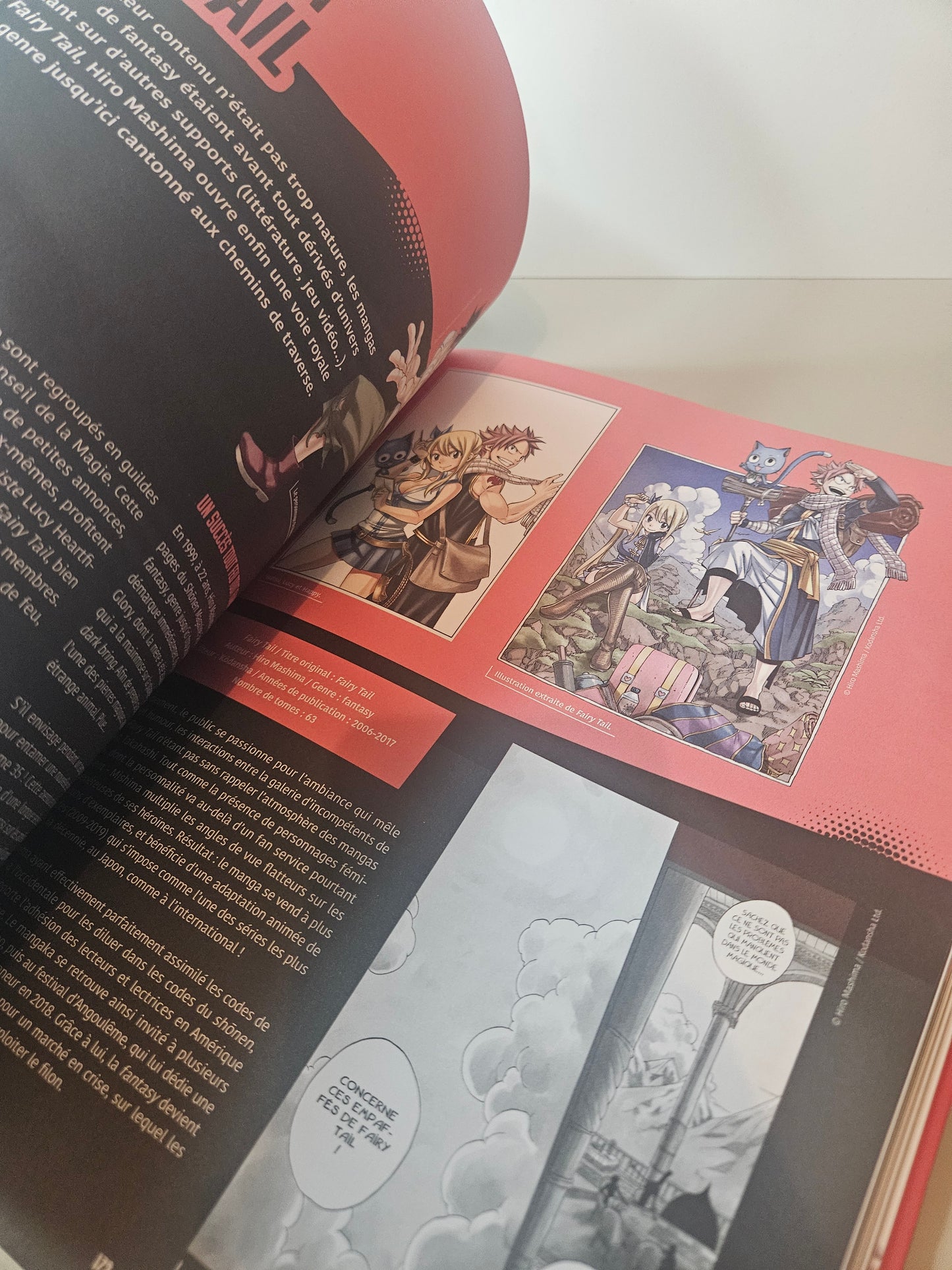 Livre Manga que d'histoire