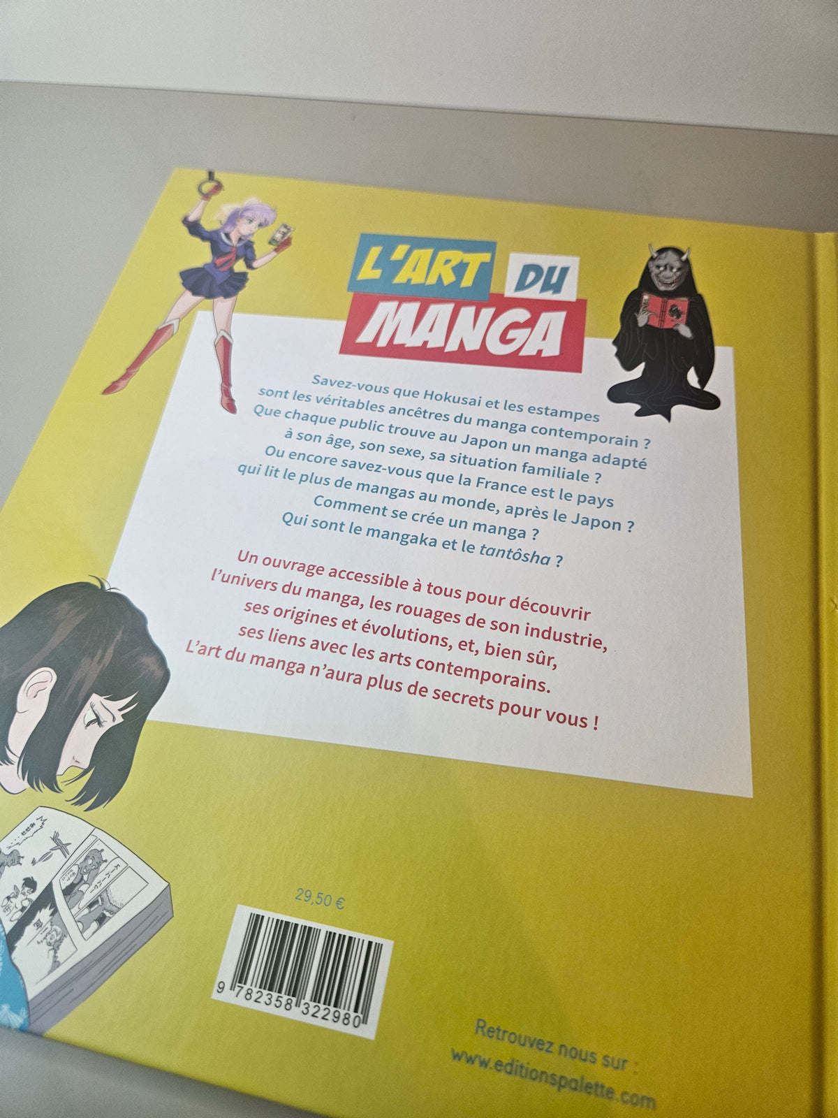 Livre l'art du manga
