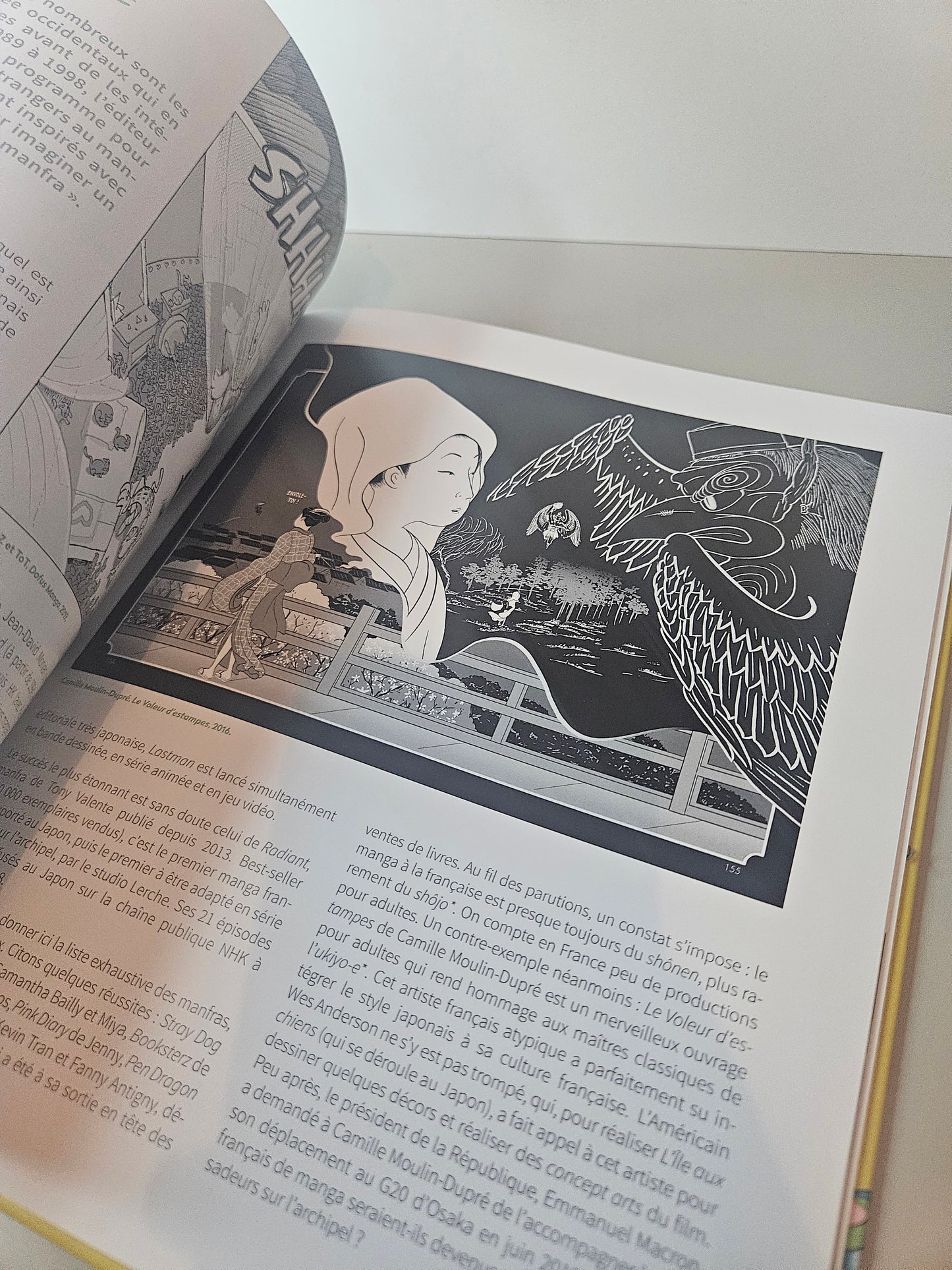 Livre l'art du manga