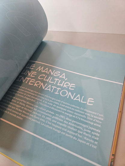 Livre l'art du manga